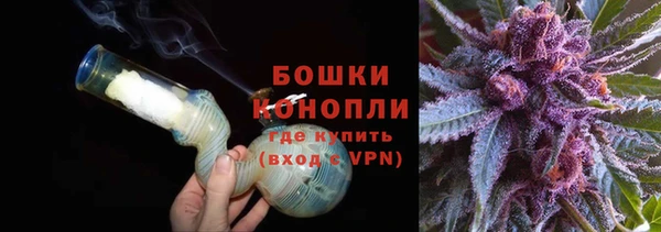 прущие грибы Бронницы