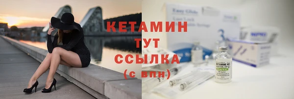 прущие грибы Бронницы