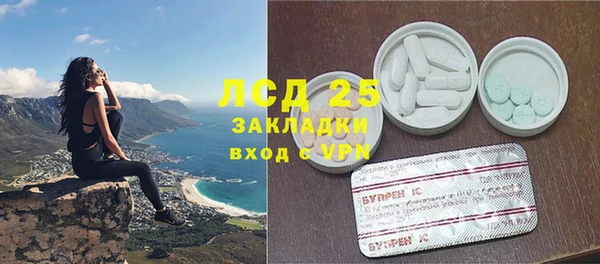 прущие грибы Бронницы