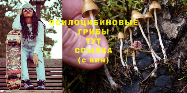 бутират Бородино