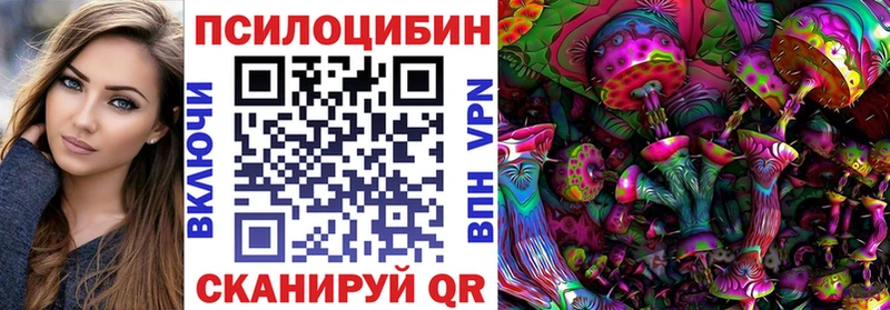 Псилоцибиновые грибы мицелий наркошоп это состав Южно-Сахалинск